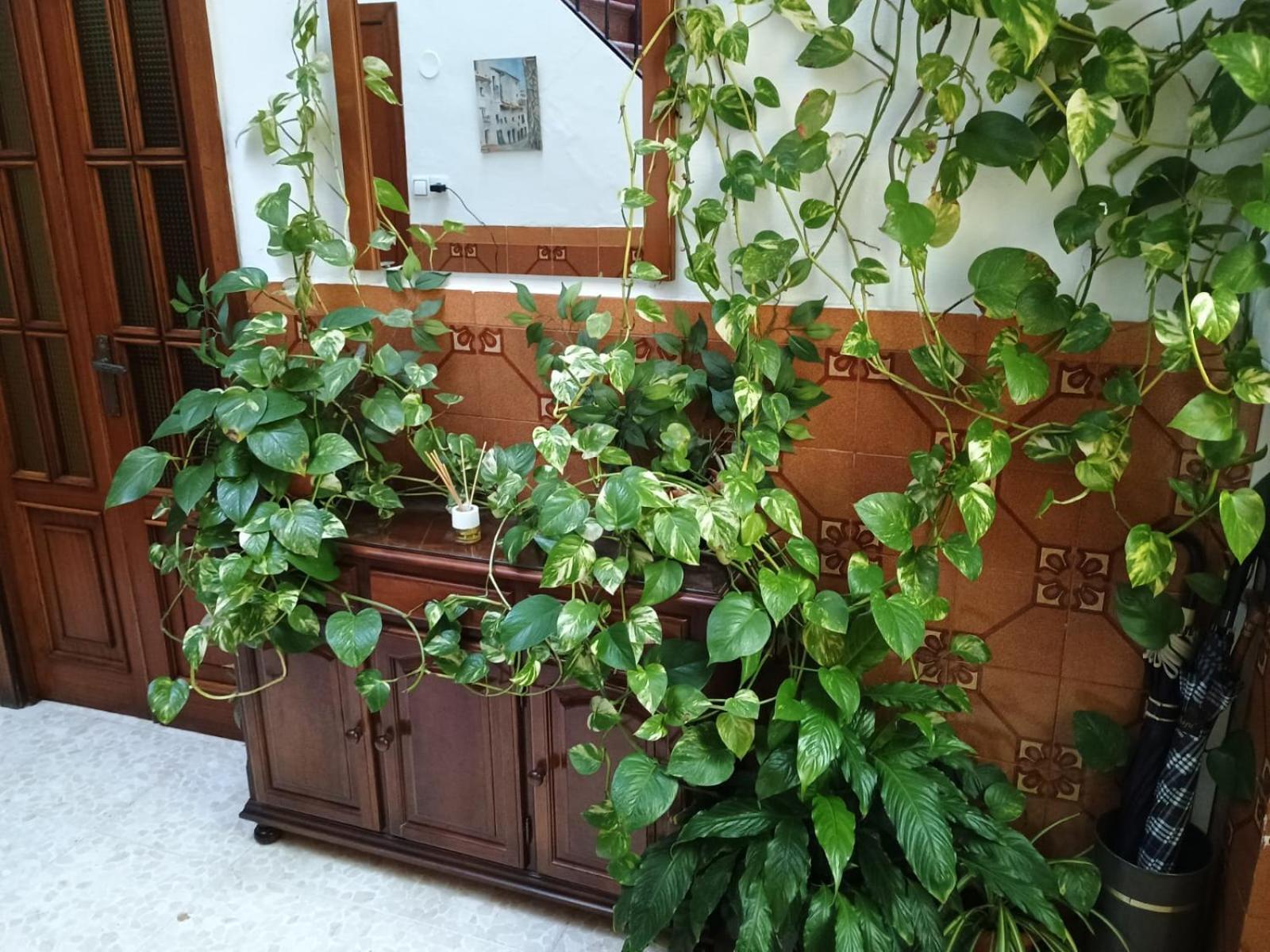 Casa Matbel Apartment Cordoba Ngoại thất bức ảnh